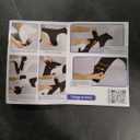 Knee Brace for Torn ACL Hind Leg, Adjustable Dog Leg Braces for Back Leg with 4 Metal Stabilizers Helps with Torn CCL, Luxating Patella, Ligament Injuries, Hip Dysplasia, S