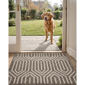 DEXI Front Door Mats for Entryway, 20x32 Non Slip Washable Low-Profile Entry Doormat, Absorbent Resist Dirt Inside Floor Entrance Mat, Patio, Brown