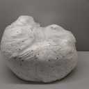 Erosebridal Ocean Beach King Size Comforter Set, Palm Trees 7-Piece Bed in A Bag, Coastal Nature Theme Sheets and Pillowcases, Hawaiian Kids Boys Men Women Bedding Set Room Decor (Blue White)