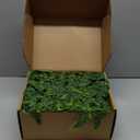 9ft Christmas Cedar Garland with Soft Thickness Pine, Artificial Green Faux Cedar Pine Garland for Mantle Fireplace Indoor Outdoor Holiday Party Home Decoration2 Pcs