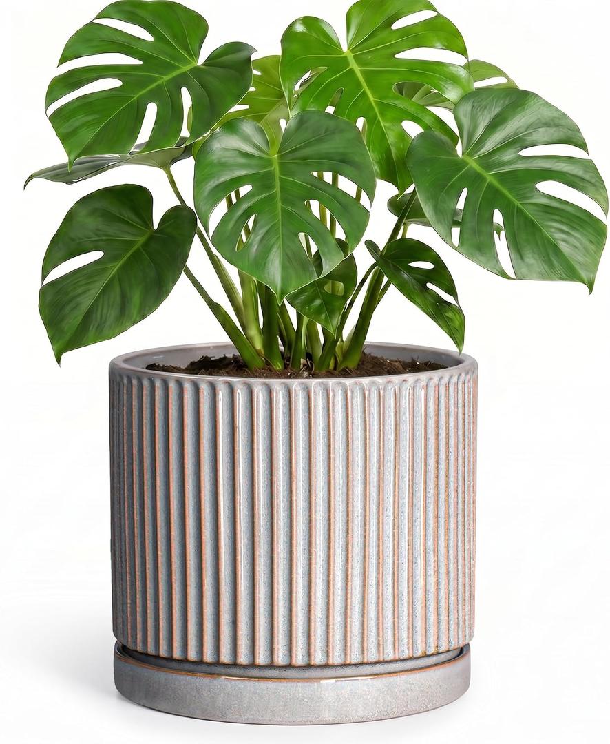 8 Inch Plant Pots, Ceramic Flower Pot, Round Planter with Tray, Grey