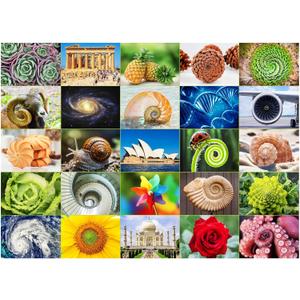 BenBen 1000 Piece Puzzle for Adults, 25 Fibonacci Spirals in Nature, Jigsaw Puzzles with Letters on Back, Challenging Puzzle for Game Night Home Dcor