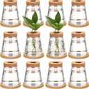 Baderke 12 Packs Plastic Desktop Vase with Hole Lid and Bamboo Stand Plant Propagation Stations Plant Growing in Water Hydroponic Home Office Table Decoration (Fresh Style)