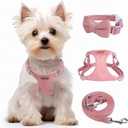 Dog Harness and Leash Set, XXS No Pull Adjustable Puppy Harness with Multifunction Pink Dog Leash and Dog Collar, Soft No Choke Escape Proof Pet Harness Vest for Small Dogs and Cats (Red, XS) (XS(4.5-11lb))