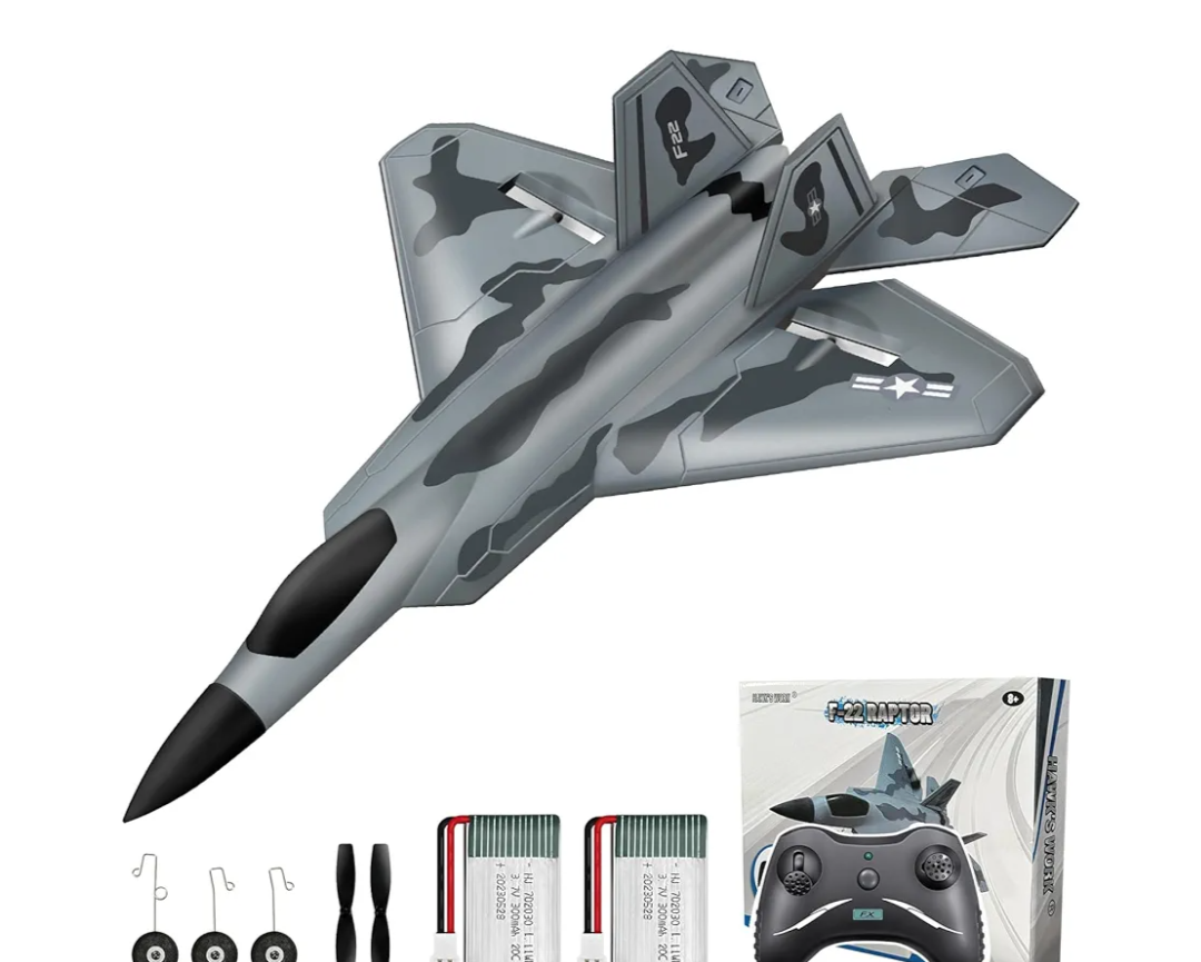 HAWK'S WORK 2 CH RC Airplane, F-22 Plane Ready to Fly, 2.4GHz Remote Control, Easy to Fly RC Glider for Kids & Beginners
