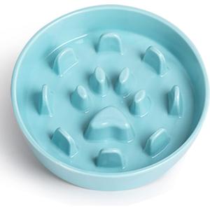 Slow Feeder Dog Bowls, Ceramic Fun Slow Eater Bowl for Small Medium Breed (Turquoise)