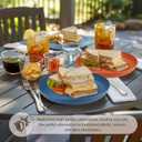 Homienly Wheat Straw Plates, 12-Pieces Unbreakable Dinner Plates - 9 Inch Alternative to Plastic Plates, Unbreakable Microwave and Dishwasher Safe Plate Set for Kitchen, Camping, Party - Multi