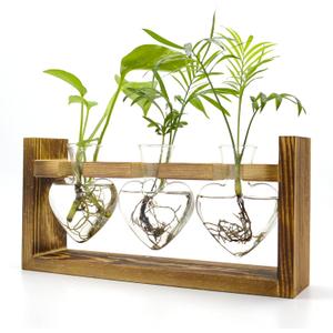Air Plant Terrarium with Wooden Stand, Plant Propagation Stations with Heart Vase, Kawaii Plant Terrarium, Gifts for Plant Lovers Women, for Hydroponics Home Garden Office Decoration