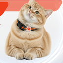 GPS Tracker for Dogs &d Compatible | Anti-Lost Device