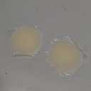 No Adhesive Reusable Silicone Nipple Covers