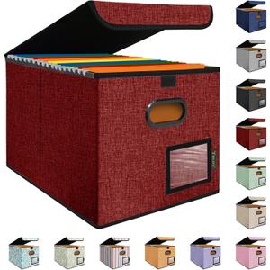 BALEINE File Organizer Box with Lid, Collapsible File Folder Organizer with Plastic Slide, Hanging File Folder Box for Office Document Storage (1 Pack, Red)