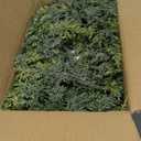 24 Inch Christmas Wreaths for Front Door Real Touch Cedar Wreath Artificial Green Wreath for Wall Windows Indoor Outdoor Christmas Decor