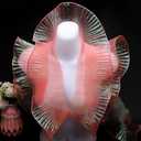GORGECRAFT 10 Yards Ruffled Fabric Organza Trims Gradient Pleated Lotus Leaf Trim Lace Fabric Ribbon Tulle Border Retro Chiffon Trimmings Decorative Applique for Sewing Dress Costume Craft(Coral)