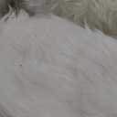 White Fluffy 5x7 Washable Area Rugs for Bedroom Faux Fuzzy Sheepskin Fur Rug for Living Room Nursery Rug