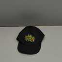 Teenage Mutant Ninja Turtles Baseball Cap, TMNT Baseball Hat for Boys, Ninja Turtles Kid Hat, Cotton Hat (Black)