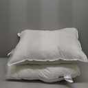 2 White Pillows