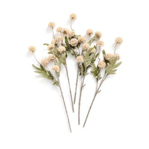 Ling's moment Pompon Mum Artificial Flower, 5pcs Faux Silk Mini Chrysanth with Stems, Bulk Fake Wedding Filler Flowers for DIY Bouquet Centerpieces Arrangements Shower Decorations, Beige