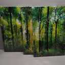 Green Forest Canvas Wall Art: Large Nature Wall Art Tree Pictures Sunrise Landsapce Art Framed Scenery Wall Mural Painting Wall Decor for Bedroom Living Room Office(3 Panel,16 x 24 Inch)