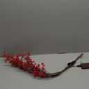 Birchlitland Red Berries Branch Lights Battery Powered with Timer for Christmas Party Decor Artificial Willow Twigs with Lights 32IN 80 LED