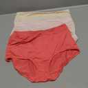 Warner's Women's Blissful Benefits Dig-Free Seamless Brief 3-Pack, Size L
