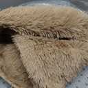 Fluffy Rug Shaggy Area Rug, Beige 3x5 Area Rugs for Bedroom, Small Bedside Rug, Soft Fluffy Shaggy Entryway Throw Rugs for Living Room Bedroom Kids Room Home Decor