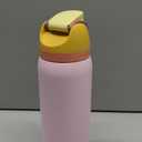 Owala FreeSip Insulated Stainless Steel Water Bottle with Straw for Sports and Travel, BPA-Free, 32 Ounce, Candy Store