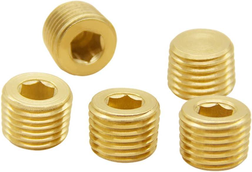 Hooshing 5PCS 1/4" NPT Male Brass Pipe Plug Internal Hex Thread Socket Pipe Plug Kit