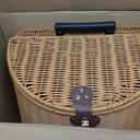 Portable Grocery Shopping Cart, Wicker-Style Rolling Basket with Handle
