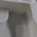 BISSELL Big Green Professional Carpet Cleaner with XL DirtLifter PowerBrush, 9-inch Long Reach Hose, 6-inch Tough Stain Tool, Includes BISSELL PRO MAX Formula with Stain Protect Technology