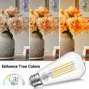 Edison Light Bulbs 5.5W, 60W Equivalent Dimmable Vintage LED Light Bulbs, 500LM E26 Medium Base Soft White 2700K LED Bulb,ST19 90+ CRI Decorative Filament LED Bulb,Clear Glass, 4 Pack