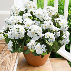 Artificial Geranium Fake Flowers for Outdoors Decoration, 6 Bundles Silk Geraniums White Flower UV Resistant Look Real Faux Plants for Outside Planter Front Door Garden Porch Patio Balcony Yard Home
