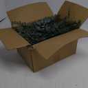 Giegxin 270 Pcs 3 Kinds Mixed Eucalyptus Leaves Stems Bulk Artificial Silver Dollar Leaves Picks Dried Eucalyptus Bundle Faux Spray for Wedding Vase Bouquet Floral Arrangement (Green)