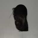 Dark Brown Clip in Extensions 18 Inch Invisible Long Synthetic Extension 5PCS Straight Fake Soft and Not Easily Knotted Clips on Hair Pieces for Women Grils Weddings Party Daily Use 6.5 Oz