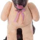 Rubies Walking Teddy Bear Pet Costume for Dogs or Cats, XXL (Brown)