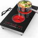 Electric Cooktop 110V,2400W 2 Burner Electric Cooktop,Countertop and Built-in Stove top with11 Power Levels,Child Safety Lock, Timer, LED touch control,Overheat Protection