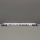 Trends International Sally Face - Crossed Guitars Wall Poster, 34L x 22.4W, Unframed Version Pack Of 2