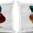 Stupell Industries | Pair of Squawking Ducks, 18 x 18 Each, 2 Pillows, Each 18 x 7 x 18