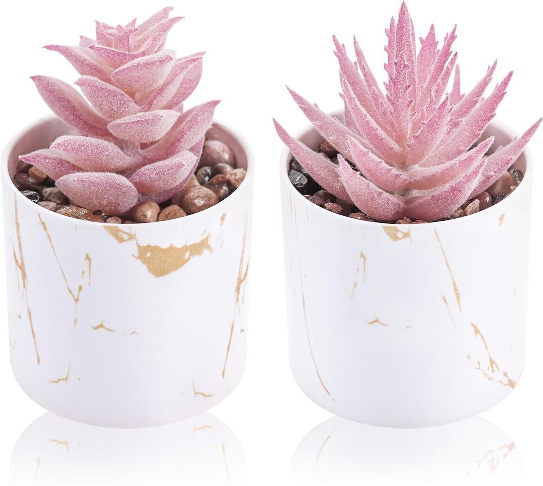 Der Rose Set of 2 Succulents Plants Artificial Mini Fake Succulents Plants for Office Desk Accessories for Women Pink Home Vanity Decor