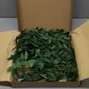 Ling's Moment Rosa Banksiae Artificial Vines, Pack of 7 Silk Greenery Garlands with Hanging Faux Laurel Leaves for Table Centerpieces, Wedding Arches & Floral Filler Arrangements