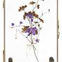 Vintage Floating Glass Frame, Tabletop Floating Picture Frame for Dry Flowers, Double Glass Pressed Flower Display Frame with Metal Base, Shelf Photo Frames for Home Office