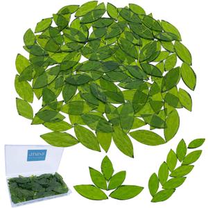 LITMIND 120 Pieces Olive Green Textured Transparent Mosaic Glass Petals & Leaves in 2 Sizes, Hand-Cut Stained Glass Mosaic Tiles for Crafts - Ideal for Mosaic Art Projects and Home Dcor