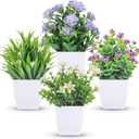 Der Rose 4 Pack Small Fake Plants Mini Artificial Faux Plants Indoor with Flowers Spring Decorations for Home Room Farmhouse Desk House Bathroom Decor