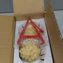 Ultrassist 1 lb Human Body Fat Model, Fat Replica, Anatomical Model for Students, Authentic Demonstration for Fitness Room