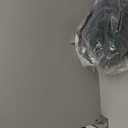 Updated WPW10381562 W10290499 Washer Door Boot Seal, Fit for Whirl-pool May-tag Washer WFW9050XW00 WFW9150WW00 WFW9050XW01, Replaces W10381562 W10300559 2229552 AP6020669 PS11753988 by AMI PARTS