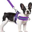 SlowTon No Pull Small Dog Harness and Leash Set, Puppy Soft Vest Harness Neck & Chest Adjustable, Reflective Lightweight & Anti-Twist Pet Lead Combo for Small Medium Dogs (PU-Front Clip, M)
