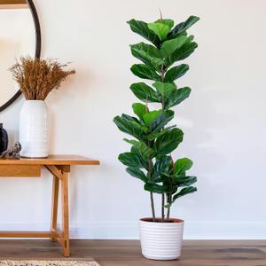 Artificial Fiddle Leaf Fig Tree 5FT Faux Fiddle Leaves Fig Tree Artificial Plants in Pot for Indoor Outdoor Fake Tree Plants