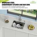 20x16 In Kitchen And Bar Sink- Stainless Steel Undermount Kitchen Sink Modern Single Bowl Drop In Bar Sink With Silicon Mat,Drain Strainer Set Compatibility With Various Kitchen & Bar Style, 20X16X9 Inches