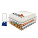 JAEDO Automatic Egg Incubator 54~64 Eggs Poultry Hatcher with Automatic Egg Turning and Temperature Humidity Control for Chickens Ducks Goose Others, Built-in Egg Candler