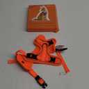 Halypet Cat Harness and Leash Set [MAX Safety 4th-Gen Upgrade] Escape Proof Adjustable Cat Leash Comfortable Soft Vest Easy to Wear Kitten Harness with Reflective Strip for Cats Walking, M Orange (Medium (13-18lb))
