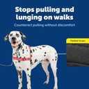 PetSafe Easy Walk Deluxe Dog Harness, No Pull Dog Harness Perfect for Leash & Harness Training Stops Pets from Pulling and Choking on Walks Large, Rose